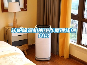 常見問題轉(zhuǎn)輪除濕機的工作原理詳細介紹