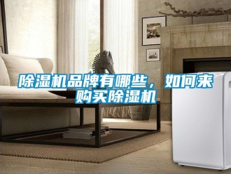企業新聞除濕機品牌有哪些，如何來購買除濕機