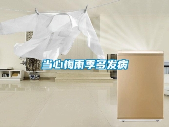 企業新聞當心梅雨季多發病