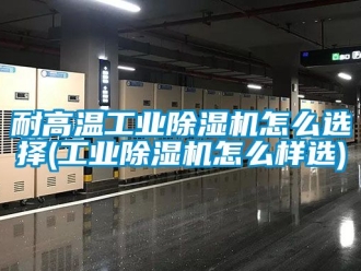 常見問題耐高溫工業除濕機怎么選擇(工業除濕機怎么樣選)