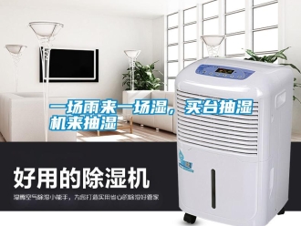 知識百科一場雨來一場濕，買臺抽濕機來抽濕