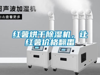 行業新聞紅薯烘干除濕機，讓紅薯價格翻番