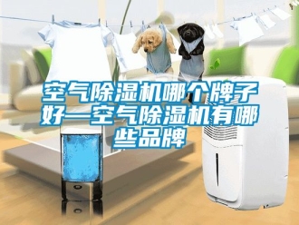 企業(yè)新聞空氣除濕機哪個牌子好—空氣除濕機有哪些品牌
