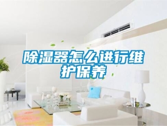 行業(yè)新聞除濕器怎么進行維護保養(yǎng)