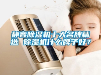 行業新聞靜音除濕機十大名牌精選 除濕機什么牌子好？