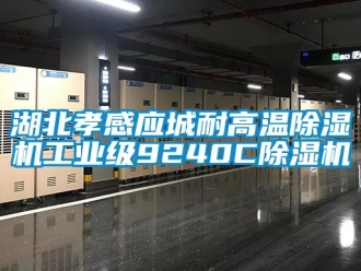 常見問題湖北孝感應城耐高溫除濕機工業級9240C除濕機