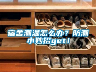 常見問題宿舍潮濕怎么辦？防潮小妙招get！
