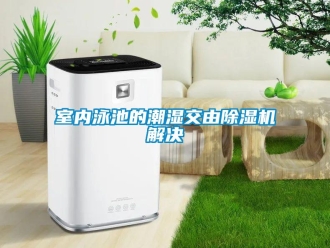知識(shí)百科室內(nèi)泳池的潮濕交由除濕機(jī)解決