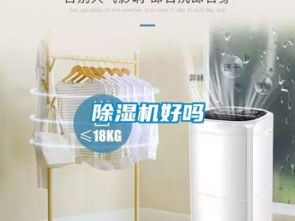 常見問題除濕機好嗎