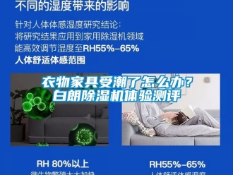 行業(yè)新聞衣物家具受潮了怎么辦？白朗除濕機體驗測評