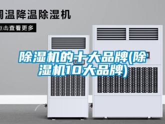 企業新聞除濕機的十大品牌(除濕機10大品牌)