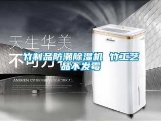 知識百科竹制品防潮除濕機 竹工藝品不發霉