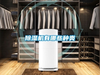 行業新聞除濕機有哪些種類