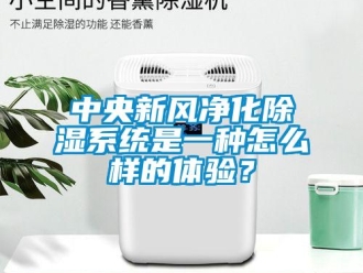 常見問題中央新風凈化除濕系統是一種怎么樣的體驗？