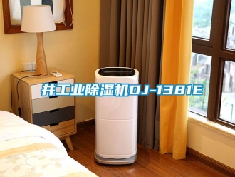 常見問題東井工業除濕機DJ-1381E
