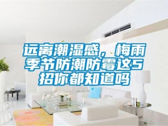 常見問題遠離潮濕感，梅雨季節(jié)防潮防霉這5招你都知道嗎