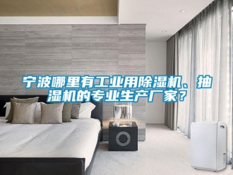 行業新聞寧波哪里有工業用除濕機、抽濕機的專業生產廠家？