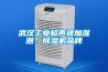 武漢工業(yè)超聲波加濕器，除濕機(jī)品牌