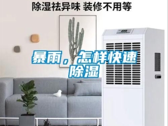 常見問題暴雨，怎樣快速除濕