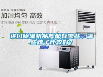企業新聞進口除濕機品牌都有哪些，哪些牌子比較好？