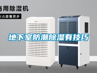 企業新聞地下室防潮除濕有技巧