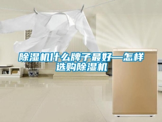 行業(yè)新聞除濕機(jī)什么牌子最好—怎樣選購(gòu)除濕機(jī)