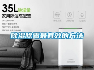 企業新聞除濕除霉最有效的方法