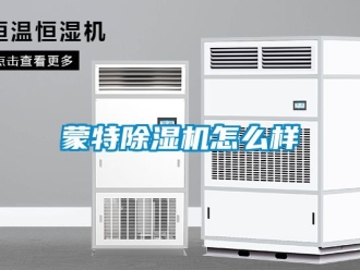 行業(yè)新聞蒙特除濕機(jī)怎么樣