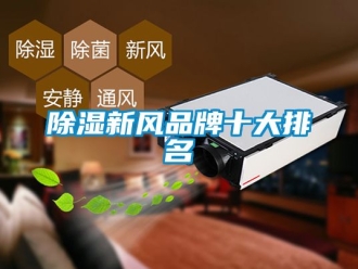 企業新聞除濕新風品牌十大排名