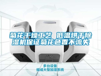 行業(yè)新聞菊花干燥工藝 低溫烘干除濕機保證菊花色香不流失