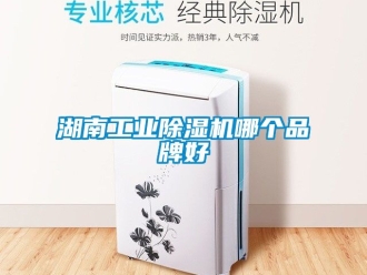 常見問題湖南工業除濕機哪個品牌好