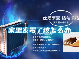 常見問題家里發(fā)霉了該怎么辦