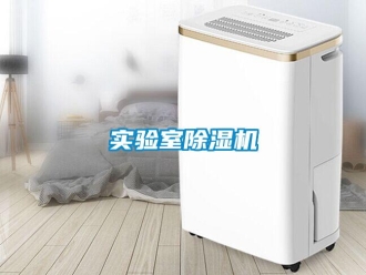 知識百科實驗室除濕機
