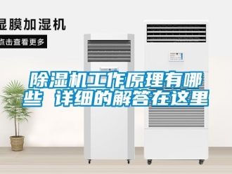 行業新聞除濕機工作原理有哪些 詳細的解答在這里