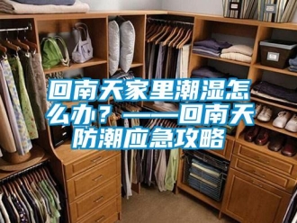 常見問題回南天家里潮濕怎么辦？——回南天防潮應(yīng)急攻略