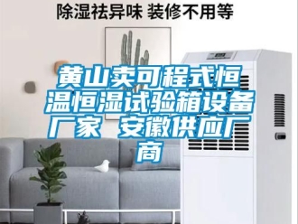 知識百科黃山賣可程式恒溫恒濕試驗(yàn)箱設(shè)備廠家 安徽供應(yīng)廠商