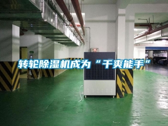 知識(shí)百科轉(zhuǎn)輪除濕機(jī)成為“干爽能手”