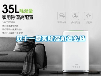 常見問題雙十一要買除濕機怎么選