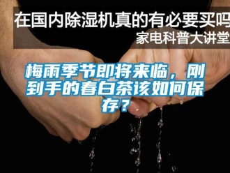 常見問題梅雨季節(jié)即將來臨，剛到手的春白茶該如何保存？