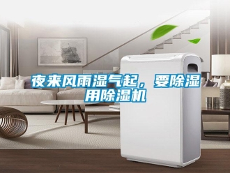 知識百科夜來風雨濕氣起，要除濕用除濕機