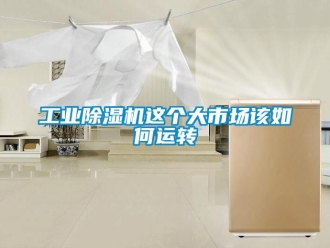 常見問題工業(yè)除濕機這個大市場該如何運轉(zhuǎn)