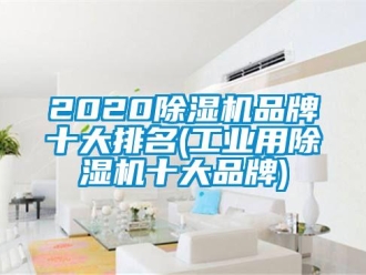 常見問題2020除濕機品牌十大排名(工業(yè)用除濕機十大品牌)