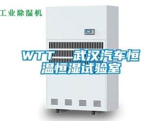 常見問題WTT  武漢汽車恒溫恒濕試驗室