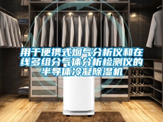 行業(yè)新聞?dòng)糜诒銛y式煙氣分析儀和在線多組分氣體分析檢測(cè)儀的半導(dǎo)體冷凝除濕機(jī)