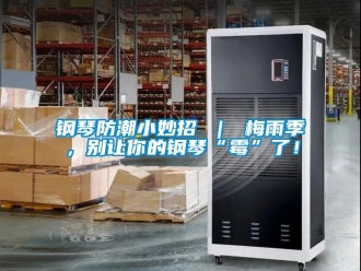 常見問題鋼琴防潮小妙招 ｜ 梅雨季，別讓你的鋼琴“霉”了！