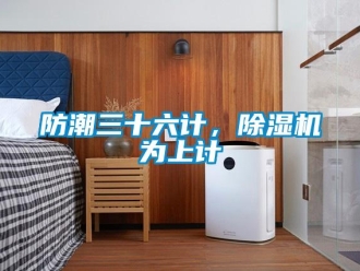 企業新聞防潮三十六計，除濕機為上計