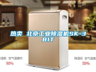 常見問題熱賣 北京工業除濕機SK-381T