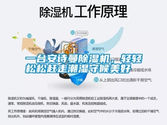 企業(yè)新聞一臺(tái)安詩(shī)曼除濕機(jī)，輕輕松松趕走潮濕守候美好