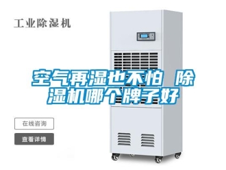 行業新聞空氣再濕也不怕 除濕機哪個牌子好