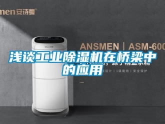 常見問題淺談工業(yè)除濕機(jī)在橋梁中的應(yīng)用